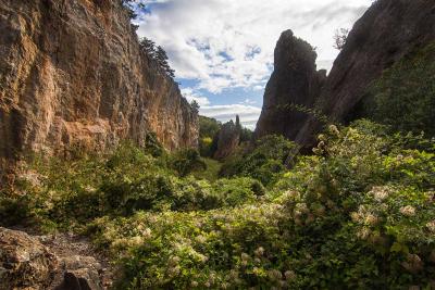 Прикрепленное изображение: _MG_8061м.jpg